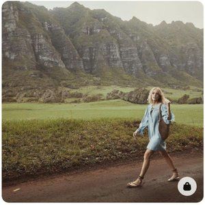 Doen Wing Dress - Parisian Chambray